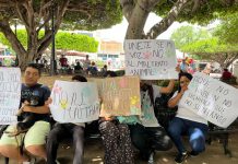 Comité vecinal de la colonia Nueva Estrella amenaza a perritos