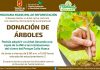 Invita Ayuntamiento de Tuxtla a donar y adoptar árboles