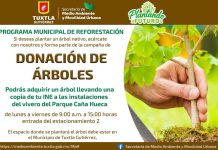 Invita Ayuntamiento de Tuxtla a donar y adoptar árboles