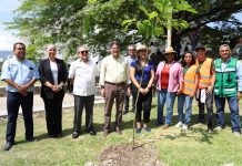 Acciones Sustentables: El Presidente Municipal Lidera Jornada de Reforestación en UNICACH