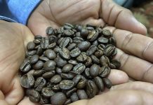 Precio de producción del Café supera al de compra