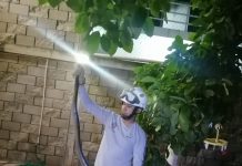 Captura PC de Tuxtla a culebra dentro de una vivienda