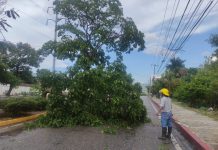 Sin incidentes relevantes tras lluvia en Tuxtla Gutiérrez