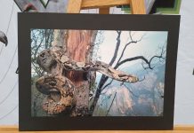 Gana Hasta $10,000: Participa en el Concurso de Fotografía ‘Latidos del Río Sabinal