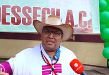 En riesgo más de 40 mil hectáreas en Chiapas