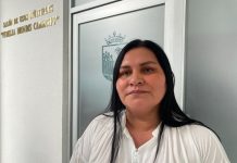 El Congreso está abocado a que ninguna violencia quede fuera del marco legal: Diputada