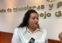 Elecciones de 2024 costarán más de mil 150 MDP: IEPC