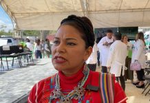 Necesario reforzar acciones para evitar usurpación de espacios indígenas: Diputada
