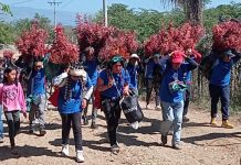 La tradición de los niños floreros