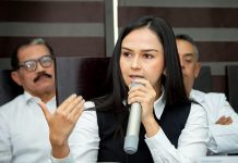 Autoridades no bajarán la guardia para que las elecciones 2024 sean históricas: Diputada