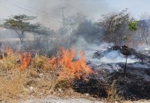 Chiapas en los primeros lugares de incendios en el país