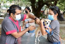 Tuxtla Gutiérrez a la Vanguardia: Centro Veterinario para Animales de Compañía