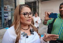 Diputada suplente acusa ser víctima de violencia política