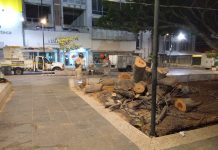 PC de Tuxtla retira árboles que representan riesgos