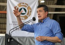 Incendios forestales en la región Metropolitana están bajo control, informa Rutilio Escandón