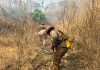 Combaten nuevo incendio en el Mactumactzá