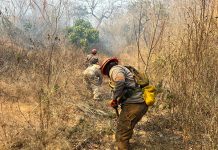 Combaten nuevo incendio en el Mactumactzá