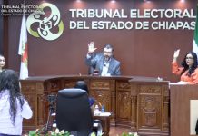 Desecha TEECH impugnación de aspirante a la candidatura de MORENA para Tuxtla