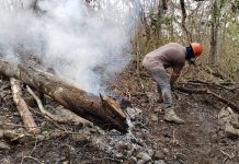 Avanza combate al Incendio Forestal en el Cerro de Mactumatzá