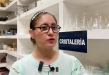 Se necesita tecnificar los procesos de producción de alimentos en el estado: Especialista