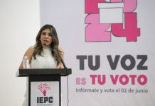 Hay todo un marco normativo para poder cancelar una elección: IEPC