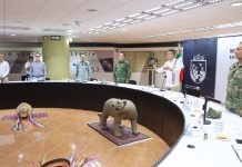 En Chiapas, aeronaves oficiales se suman a tareas de prevención y combate de incendios forestales