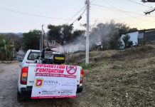 Nebulizan colonias tuxtlecas para prevenir enfermedades por vectores