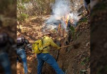 En gran riesgo la reserva de ‘El Triunfo’ por los incendios forestales