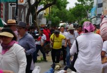 Maestros agreden a ciudadanos que participaron en la marcha de la “Marea Rosa”