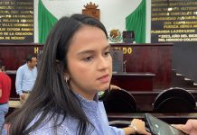 Taxis y vehículos de aplicaciones podrían convivir en Tuxtla: Flor Esponda