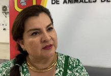 Piden a tuxtlecos no confiarse ante olas de calor