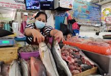 Emiten recomendaciones para comprar pescados y mariscos en Tuxtla