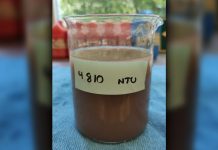 Por turbiedad del agua se suspende el funcionamiento de “Ciudad del Agua”