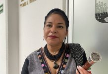 Hay que privilegiar la vida antes que elecciones extraordinarias: Diputada