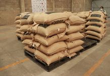 Falta de mano de obra y “coyotaje”, riesgos para la producción de café