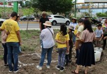 Invitan a reforestar Tuxtla