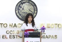 Realizará INE la Consulta Infantil y Juvenil 2024