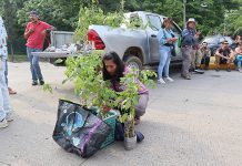 Siembran más de 100 “bosques” en la zona metropolitana