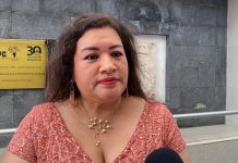 Seguiré sumando esfuerzos como consejera: Vila Dominguez