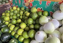 Baja precio del limón en esta temporada