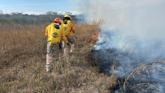Bomberos apagando un incendio de pastizal
