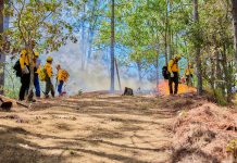 Se realiza con éxito quema prescrita en la Reserva de la Biosfera La Sepultura