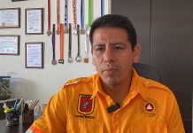 Propietarios son responsables del mantenimiento de sus arboles: PC de Tuxtla