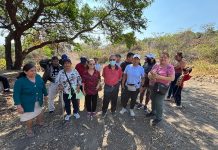 Vecinos denuncian tala y taponamiento ilegal de un arroyo