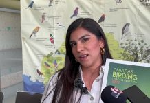 Chiapas busca fomentar la conservación de aves y ecosistemas