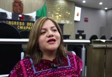 Llama diputada a visibilizar la doble violencia que enfrentan las mujeres con discapacidad