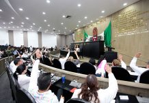 Diputada Erika Mendoza invita a visitar “Chiapas, extraordinario por naturaleza”.