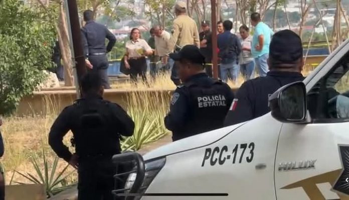 WhatsApp Image 2025-04-23 at 10.08.47