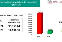 Se mantiene a la baja superficie afectada por incendios forestales en Chiapas