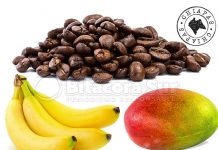 Chiapas líder en producción de café, plátano y mango